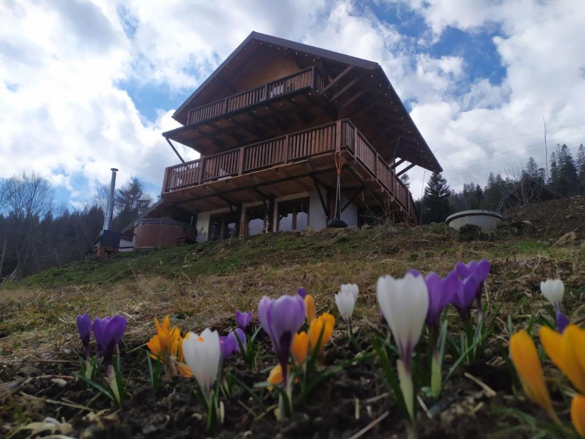 Бриндуш Villa Tatariv Eksteriør billede